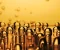 article image for كيف اكتشف العرب الذهب قديماً؟