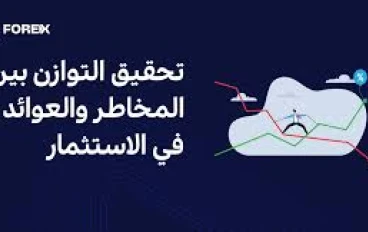 كيف توازن بين الاستثمار والمخاطرة؟