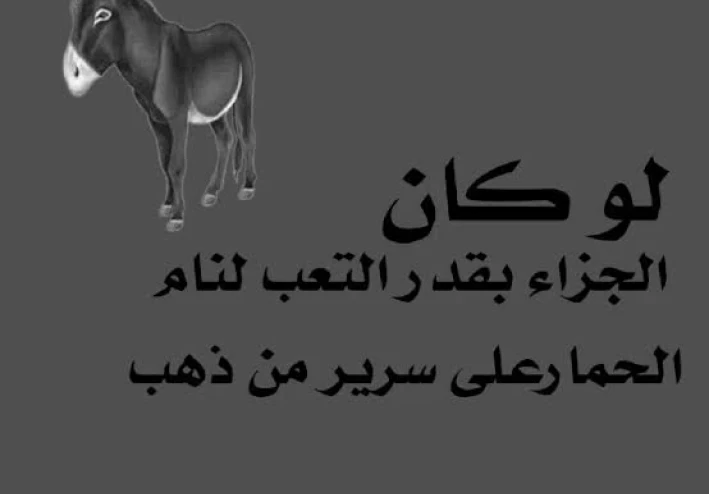 إذا كان النجاح بالتعب والاجتهاد، لكان الحمار جالسًا على تل من ذهب