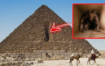 عجائب وغرائب الأهرامات المصريه 