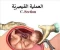 article image for الولادة القيصرية اضرار وفوائد