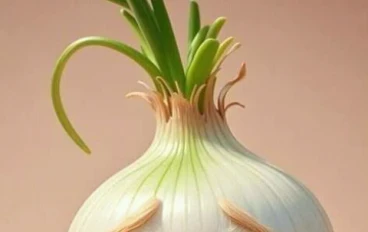 فوائد البصل الصحيه