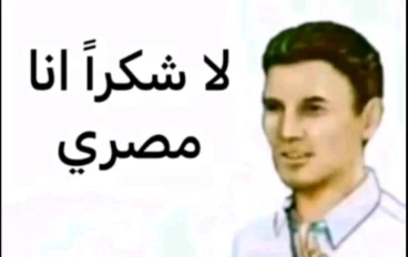 الهلس والغباء في المجتمع المصري: ظواهر تتكرر وتحديات تتفاقم