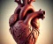 article image for The comprehensive guide to heart health