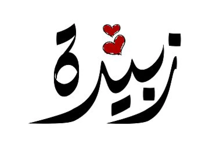زبيدة بنت جعفر.. سيدة بني العباس وصاحبة عين زبيدة
