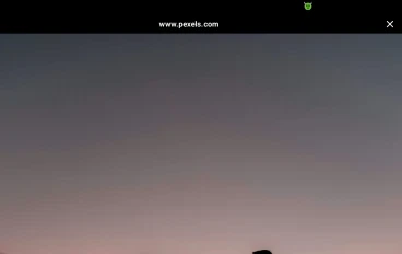 تعلم معني الحب ❤️