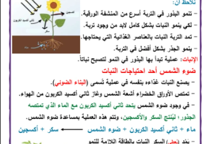 تحميل مذكرة علوم للصف الخامس الابتدائي الترم الأول 2026 برابط مباشر