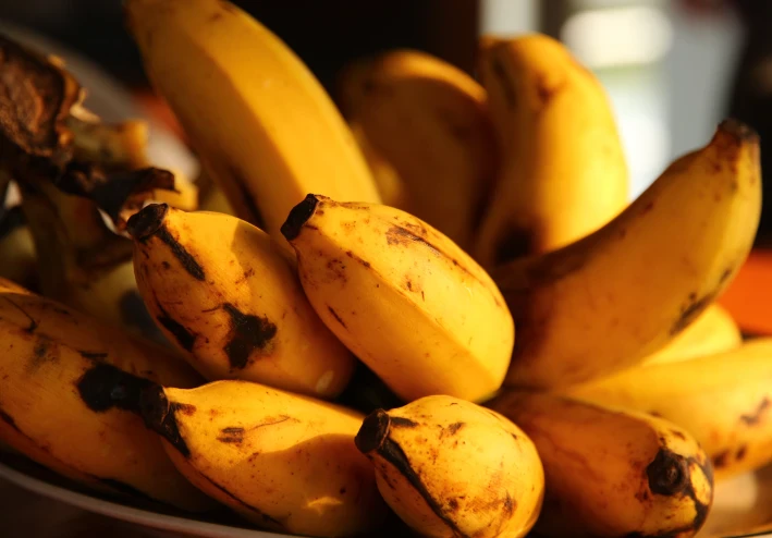 الموز أقدم أنواع الفاكهة   Bananas are the oldest type of fruit