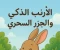 article image for  الأرنب الذكي والجزر السحري 🥕