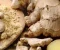 article image for الزنجبيل كنز طبيعي لفوائد صحية ممتازه 