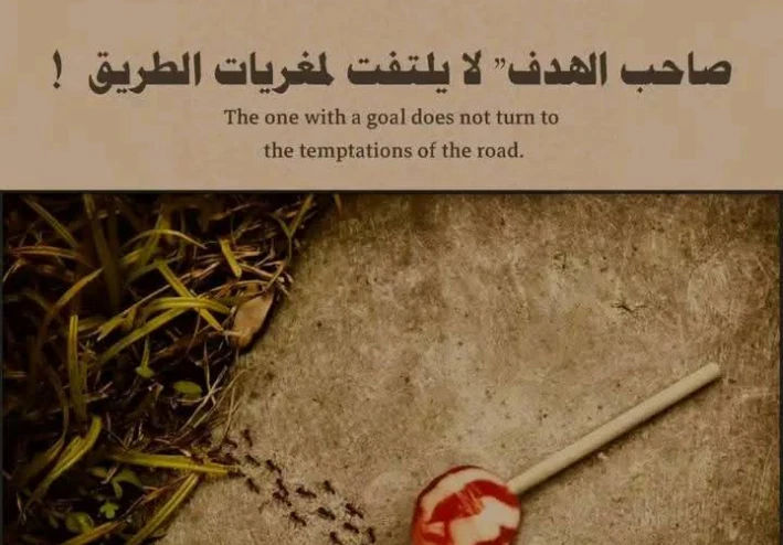 صاحب الهدف لا يلتفت لمغريات الطريق