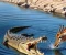 article image for ريـم و التمساح و الراعي 
