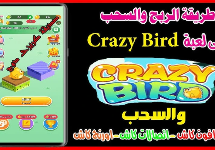الربح من لعبة Crazy Bird والسحب فودافون كاش