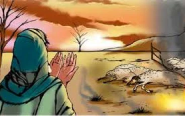 قصة سيدنا أيوب عليه السلام: دروس في الصبر والإيمان