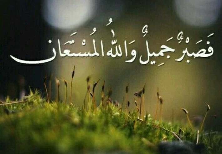 رحلتي مع سوره (يوسف)...من الالم الي الامل🌸