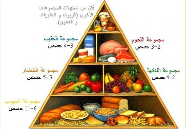 كيف تختار نظام غذائي صحي لحياة أفضل