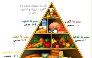  كيف تختار نظام غذائي صحي لحياة أفضل