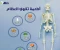 صورة مقال هشاشة العظام: أسبابه وطرق الوقاية والعلاج