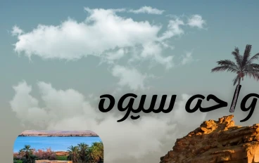 واحة سيوة: جوهرة الصحراء الغربية ومعالمها السياحية والأثرية الفريدة