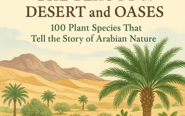 جمال الصحراء والواحات: 100 نوع نباتي يروي حكاية الطبيعة العربية