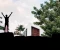 تطور التأمين على الحياة في مصر  The development of life insurance in Egypt