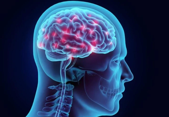 أمراض المخ: التحديات الصحية وطرق الوقاية والعلاج
