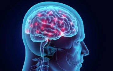 أمراض المخ: التحديات الصحية وطرق الوقاية والعلاج