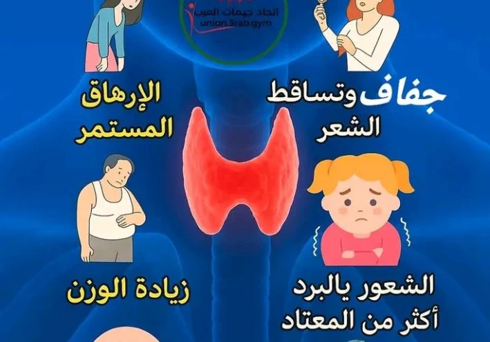 الغدة الدرقية: أمراضها وتشخيصها وطرق العلاج