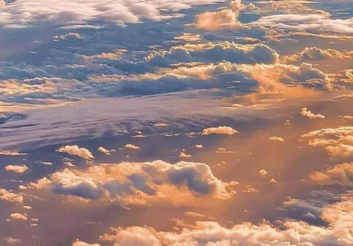 اشجع جاسوس فى جيش المسلمين