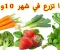 صورة مقال زراعة الخضروات في فصل الخريف  Planting vegetables in the fall