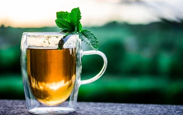 فوائد شرب الأعشاب الدافئة في الشتاء