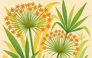  البردي (Papyrus): أناقة الألوان الزاهية وسحر التصميم الطبيعي في نباتات الزينة
