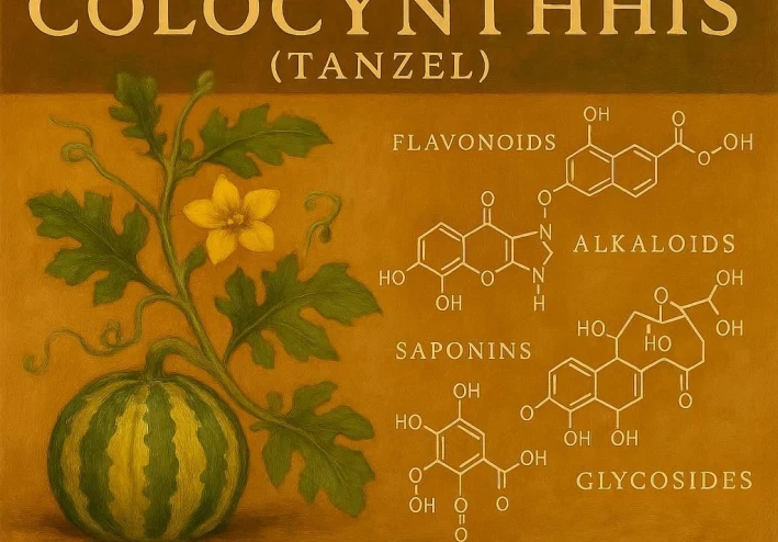 Citrullus colocynthis (الحنظل): استكشاف للمركبات الكيميائية الحيوية ودوره في علاج الأمراض الأيضية
