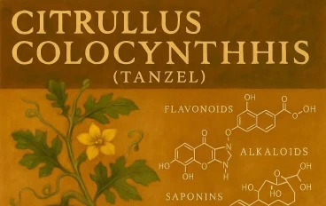 Citrullus colocynthis (الحنظل): استكشاف للمركبات الكيميائية الحيوية ودوره في علاج الأمراض الأيضية