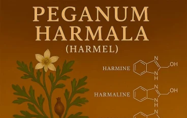 Peganum harmala (الحرمل): كيمياء القلويدات ودورها التاريخي والحديث كمثبط لأُكسيداز أحادي الأمين (MAOI).