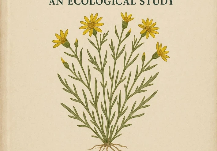 كنز الربيع المخفي: دراسة بيئية وخصائص نبات الذعلوق (Koelpinia linearis) ودوره الرعوي