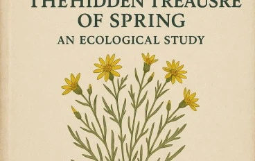 كنز الربيع المخفي: دراسة بيئية وخصائص نبات الذعلوق (Koelpinia linearis) ودوره الرعوي