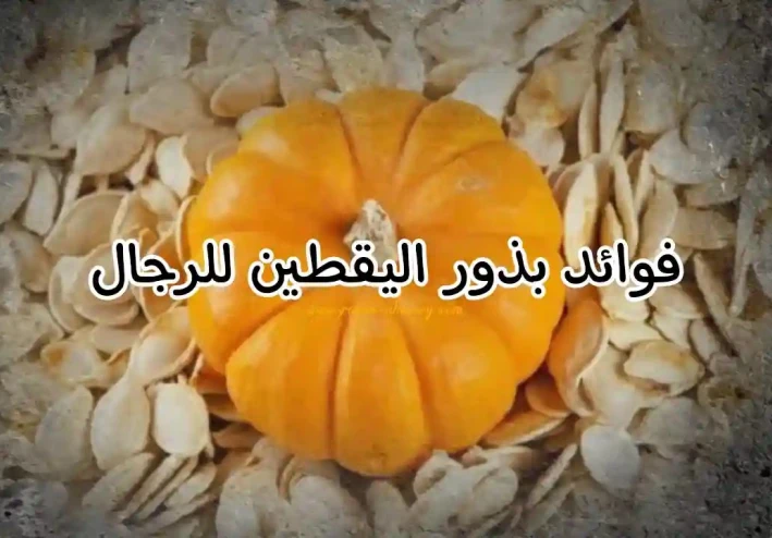 ما هي الأطعمة التي تحسن من جودة الحيوانات المنوية عند الرجال؟