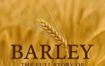 الشعير: القصة الكاملة للحبة الذهبية.. من أقدم المحاصيل إلى غذاء المستقبل.