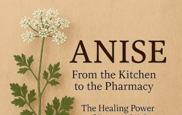 اليانسون (Pimpinella anisum): من المطبخ إلى الصيدلية... القوة العلاجية للزيت العطري.