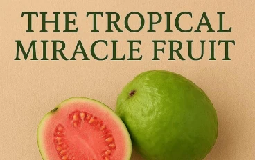 الفاكهة الاستوائية المعجزة: كل ما تحتاج معرفته عن قوة الجوافة العلاجية