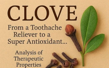 القرنفل (Clove): من مسكن لآلام الأسنان إلى مضاد أكسدة فائق... تحليل للخصائص العلاجية.