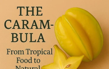 الكرامبولا: من طعام استوائي إلى كنز طبيعي... أسرار الفوائد التي يجب معرفتها