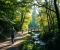 article image for المشي الواعي (Mindful Walking): سر استعادة صفاء ذهنك وتقليل التوتر بسهولة