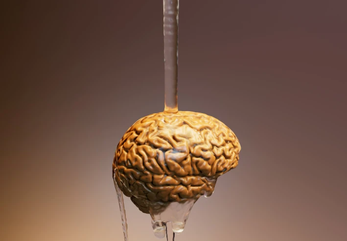بعد سن 40 ، يفقد الدماغ الكتلة. ماذا نأكل للتفكير بشكل أفضل