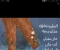 صورة مقال نظم مذاكرتك بكاشكول 