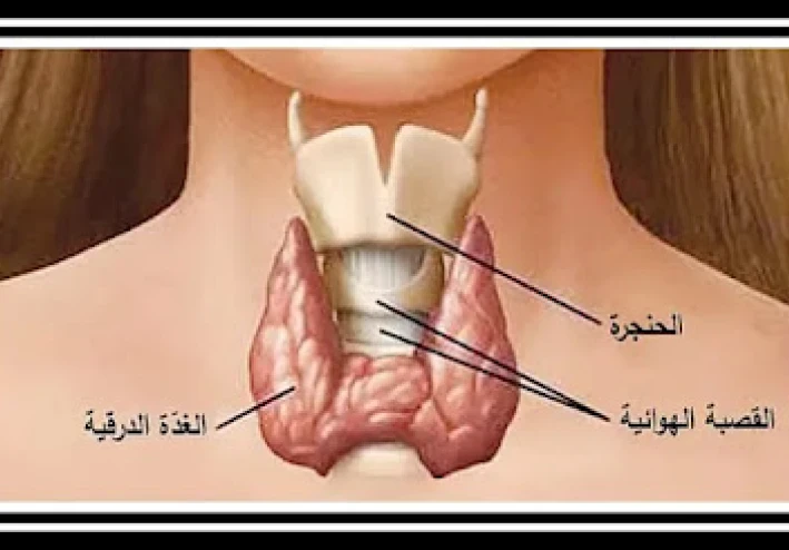 الغدة الدرقية: 9 أعراض لا يجب إهمالها