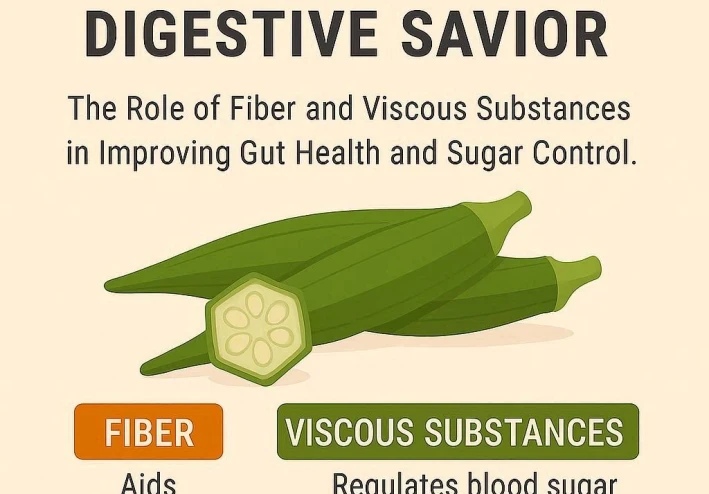 البامية.. المُنقذ الهضمي: دور الألياف والمواد اللزجة في تحسين صحة الأمعاء والسيطرة على السكر