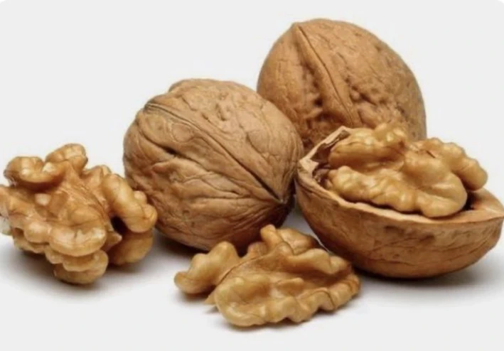 الفوائد الصحية لعين الجمل وأهميته لتعزيز صحة القلب والدماغ والعينين