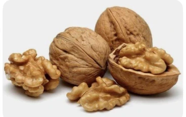 الفوائد الصحية لعين الجمل وأهميته لتعزيز صحة القلب والدماغ والعينين